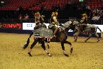 Quadrille - 00798